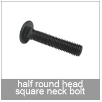 half round head square neck bolt