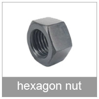 hexagon nut
