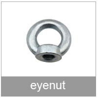 eyenut